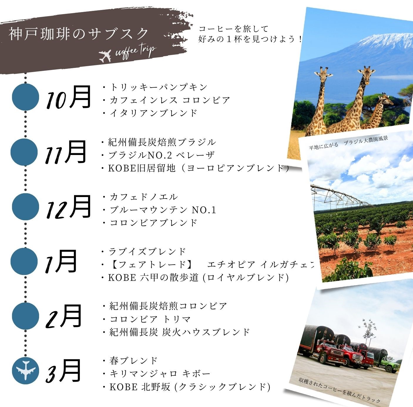 2023コーヒーサブスク第2弾のお届け商品一覧
